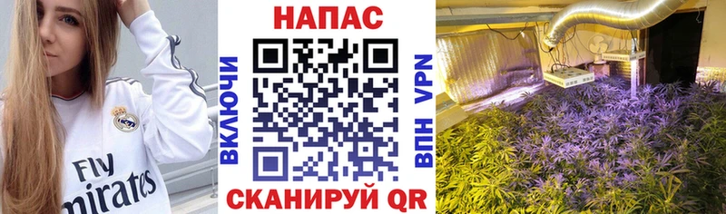АМФЕТАМИН Мичуринск