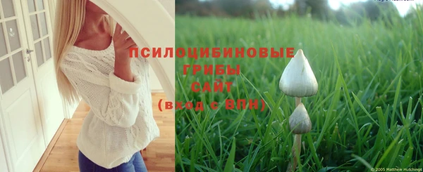 хмурый Алексеевка
