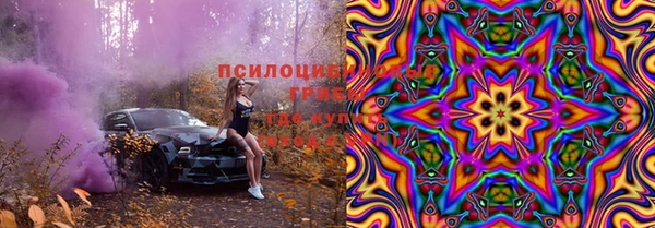 хмурый Алексеевка