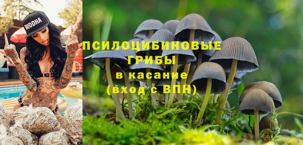 хмурый Алексеевка