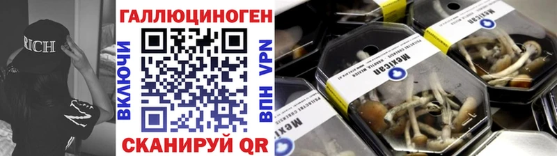 закладка  Мичуринск  Галлюциногенные грибы Psilocybe 